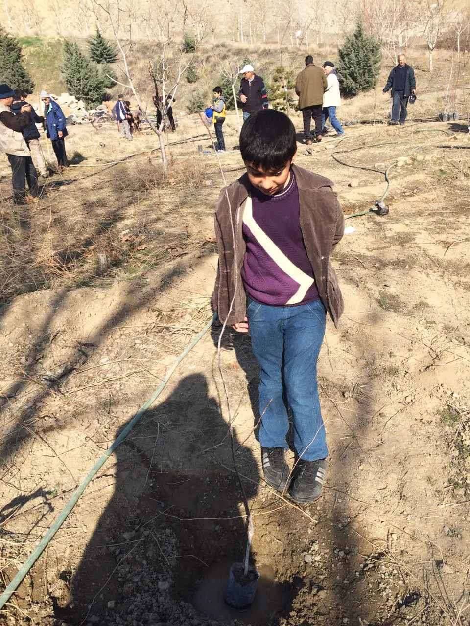 کاشت نهال درخت در باشگاه دیپلماتیک