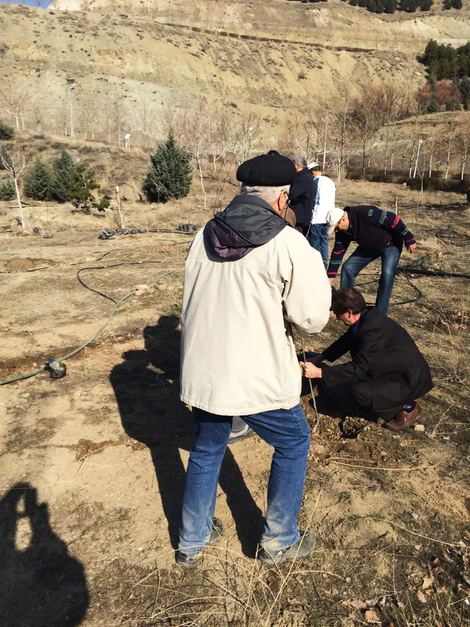 کاشت نهال درخت در باشگاه دیپلماتیک