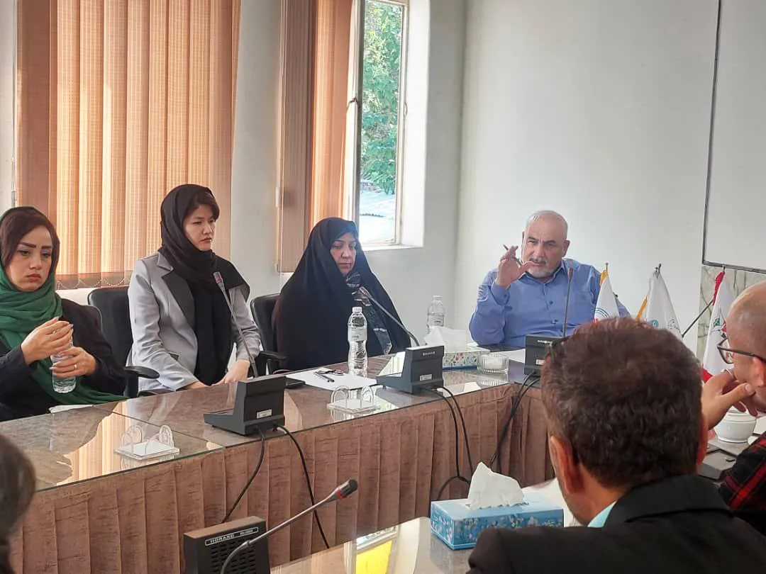 جلسه تخصصی کارگروه هنری تهران - کابل با هنرمندان افغانستانی